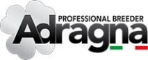 Adragna