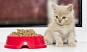 Сухой корм для котят от 1 до 12 месяцев от Cauris Grup в Кишиневе по доступным ценам от оптовой базы по ул. Буребиста 5